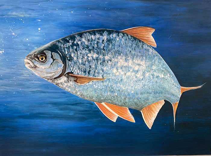 silver fish on deep blue background